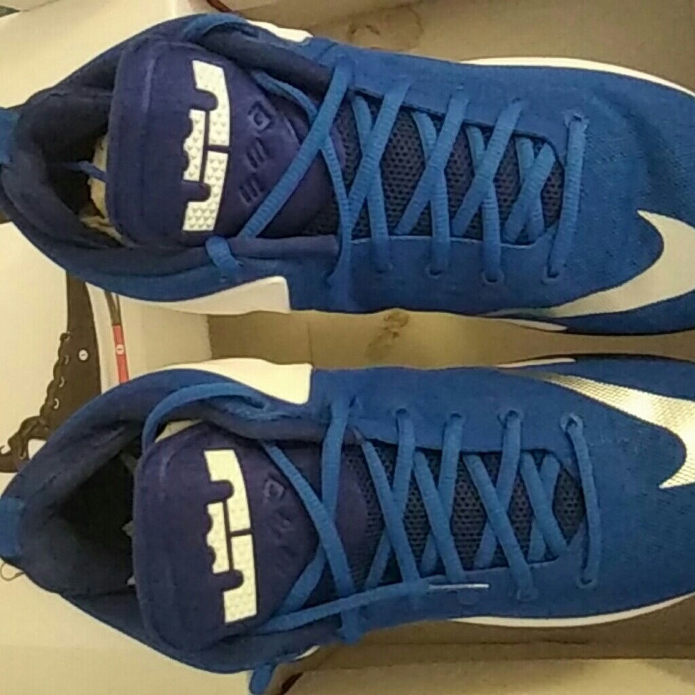 LeBron sneakers